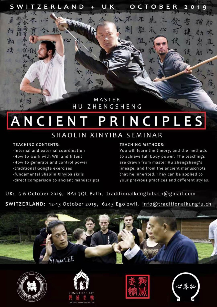 2019年胡正生赴英国瑞士武术交流-06