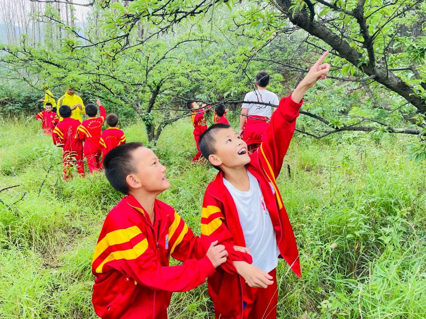 嵩山春意浓，少林传统武校踏青行：传统武术与自然教育的完美融合