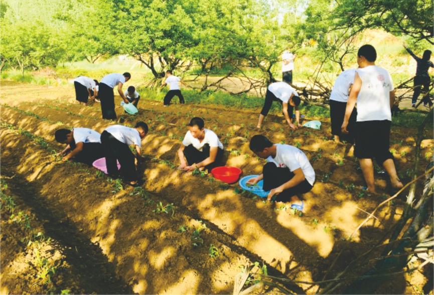 播下希望，耕耘未来：嵩山少林传统武校春季农耕实践开启身心双修新课堂
